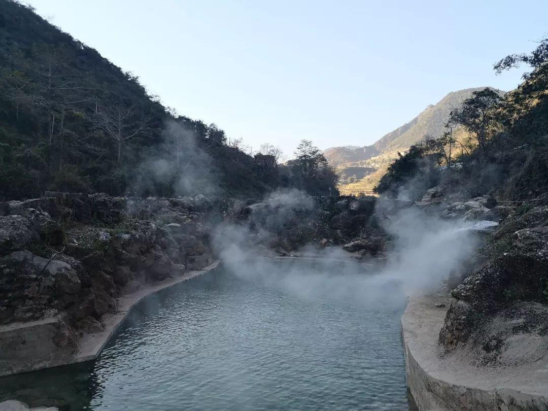 虫虫助手下载